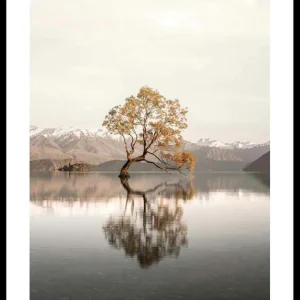Neue Kollektion The Lonely Tree Poster