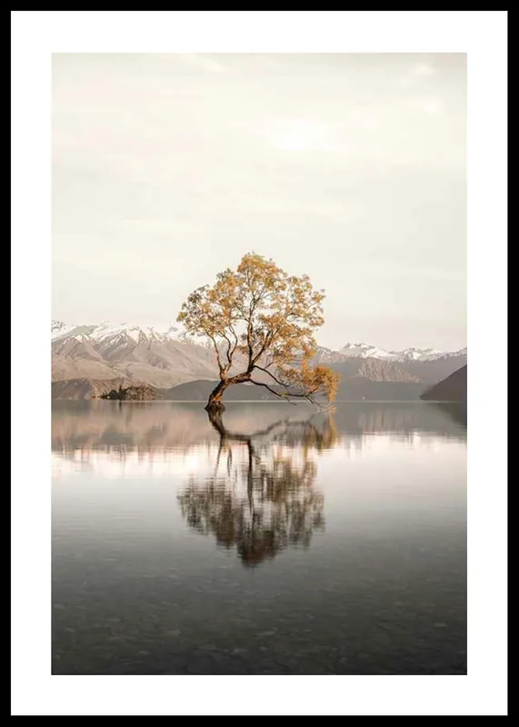Neue Kollektion The Lonely Tree Poster