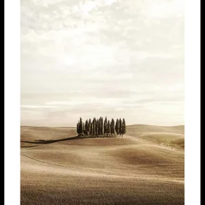 Kostenloser Versand Cypress trees Poster