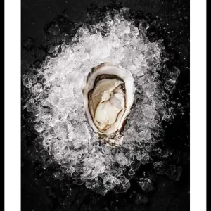 Oyster On Ice Poster Jetzt Kaufen