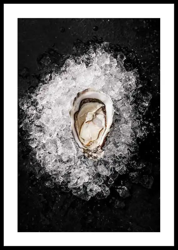 Oyster On Ice Poster Jetzt Kaufen