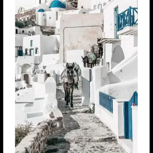 Expressversand Santorini Island Donkeys Poster