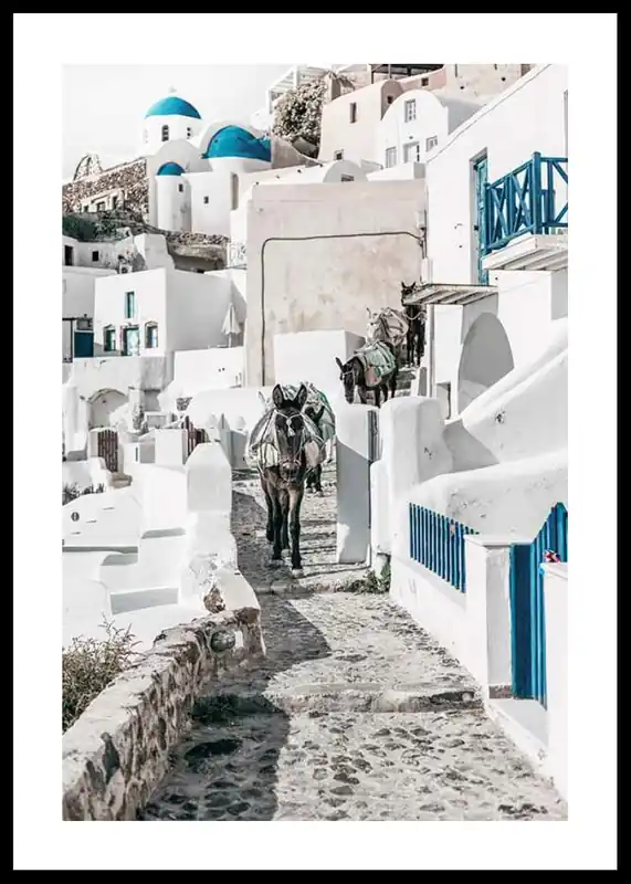 Expressversand Santorini Island Donkeys Poster