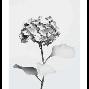 White Painted Flower Poster Schneller Versand