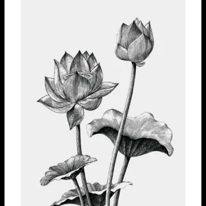 Sketched Flowers Poster Abverkauf