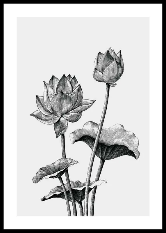 Sketched Flowers Poster Abverkauf