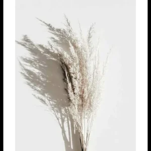Dry Reeds No3 Poster Neue Ware