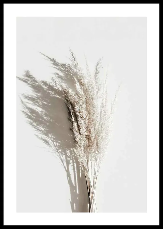 Dry Reeds No3 Poster Neue Ware