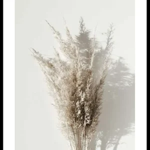 Super-Preis Dry Reeds No1 Poster
