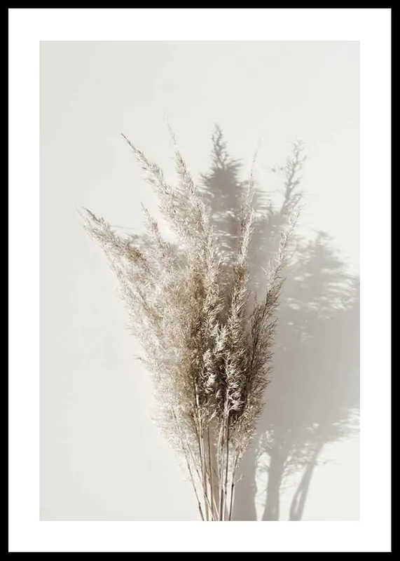 Super-Preis Dry Reeds No1 Poster