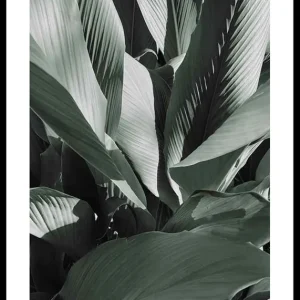 Banana Leaves No4 Poster Mega-Angebot