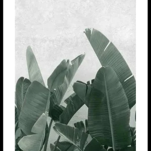 Nur Für Kurze Zeit Banana leaves No3 Poster