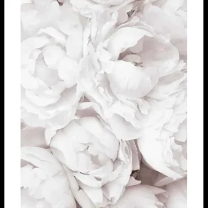 Bright Pink Roses No3 Poster Aktuell