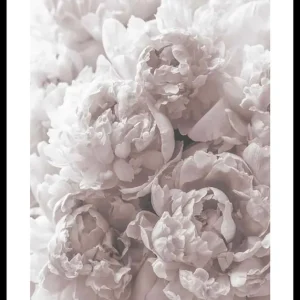 Kostenfreie Lieferung Bright Pink Roses No2 Poster