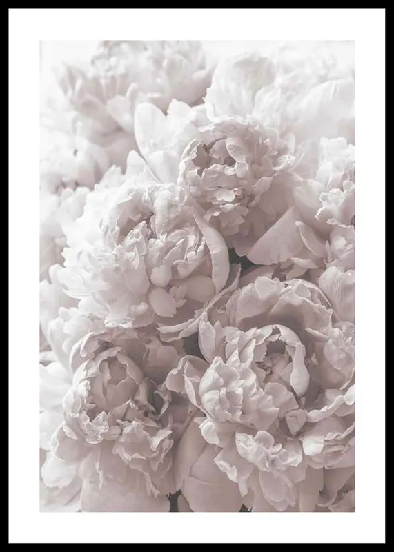 Kostenfreie Lieferung Bright Pink Roses No2 Poster