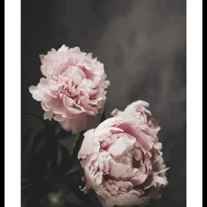 Schnäppchen Pink peonies No2 Poster