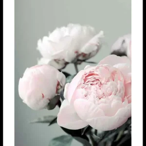 Pink peonies No1 Poster Nur Heute