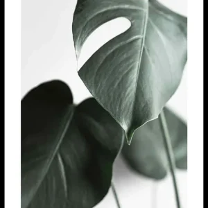Green Leaves No1 Poster Preiswert