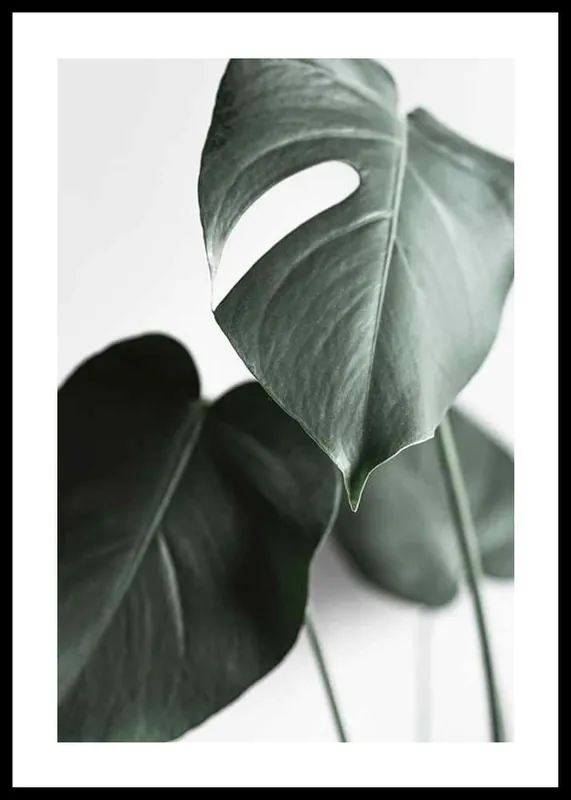 Green Leaves No1 Poster Preiswert