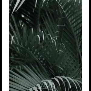 Sichere Zahlung Palm Leaf No1 Poster