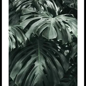 Finale Aktion Monstera No3 Poster