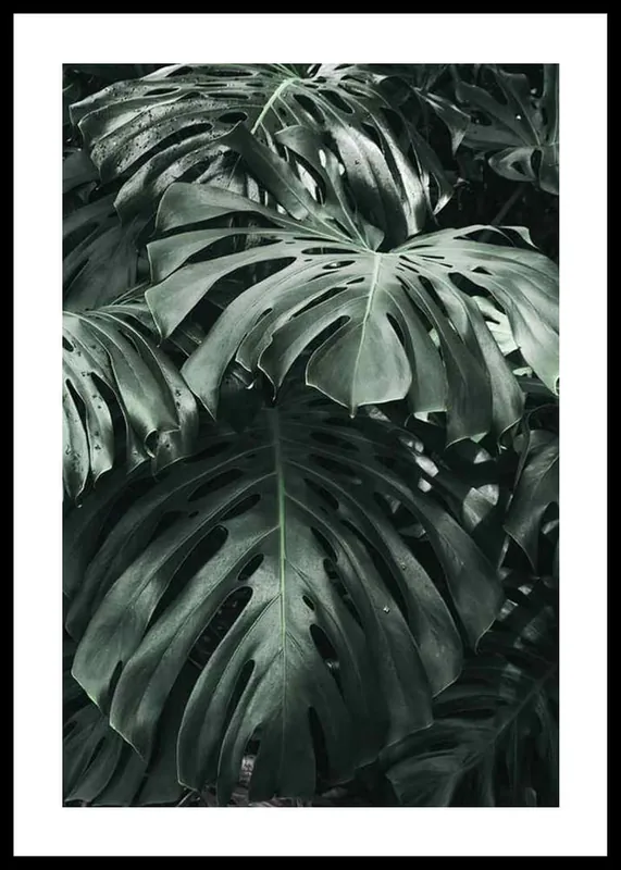 Finale Aktion Monstera No3 Poster