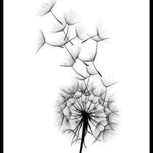 Aktuell Dandelion Wish Poster