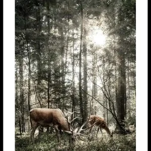 Preisknaller Deer In Sunlight Poster