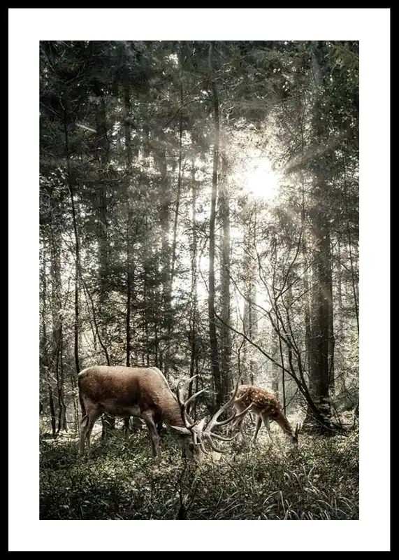 Preisknaller Deer In Sunlight Poster
