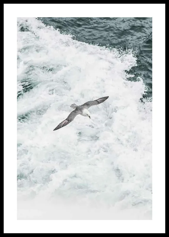 Grey Seagull Poster Letzte Chance