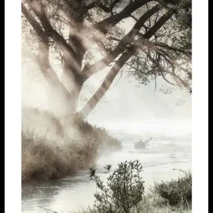 Foggy Dawn Poster Neu Im Sortiment