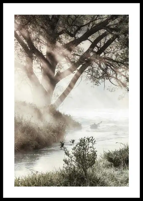 Foggy Dawn Poster Neu Im Sortiment