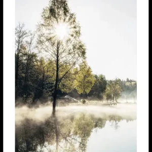 Lake At Sunrise Poster Letzte Chance