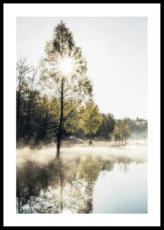 Lake At Sunrise Poster Letzte Chance