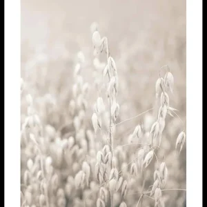 Oats No2 Poster Heißes Angebot