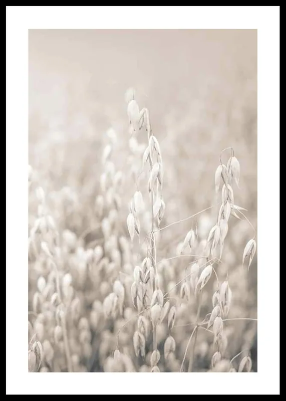 Oats No2 Poster Heißes Angebot