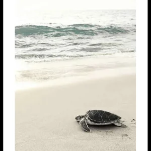 Sea Turtle On Beach Poster Beliebt