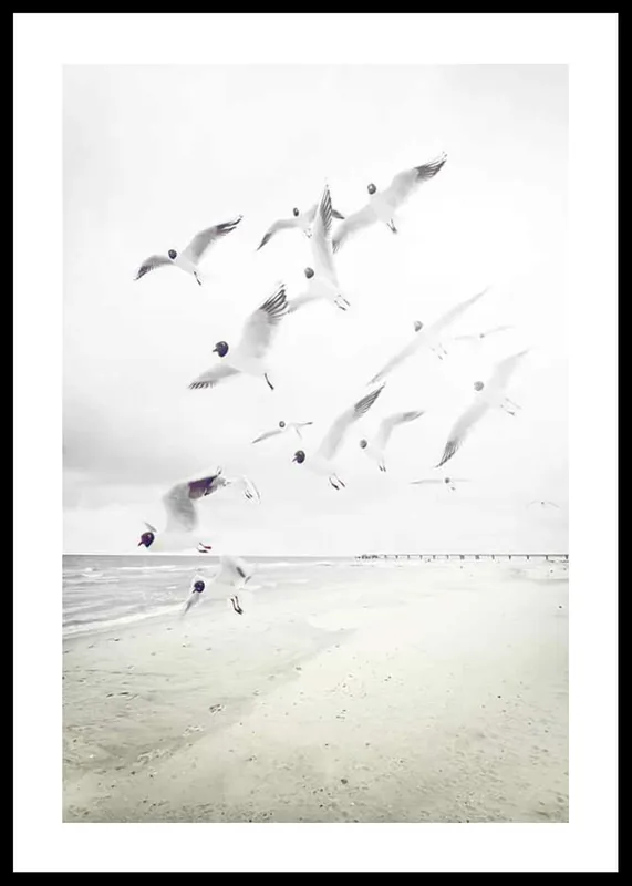 Beliebt Black-Headed Seagulls Poster