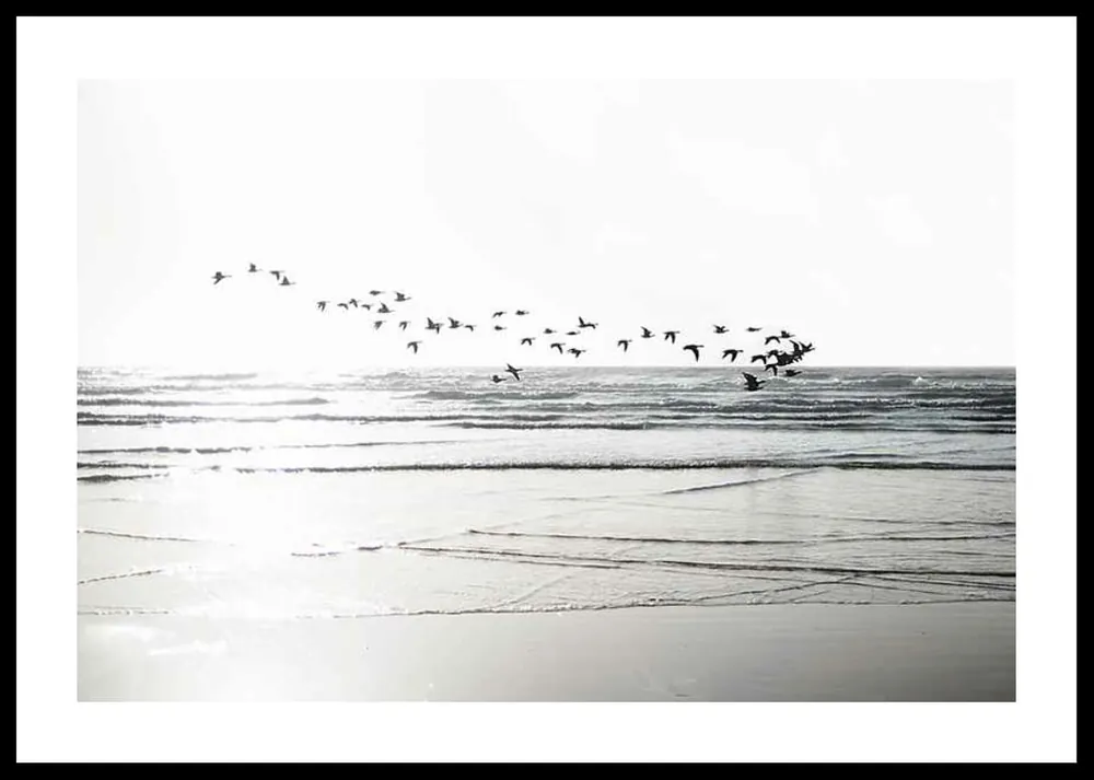 Preis Gesenkt Birds Over Beach Poster