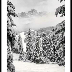 Between Spruces Poster Letzte Chance