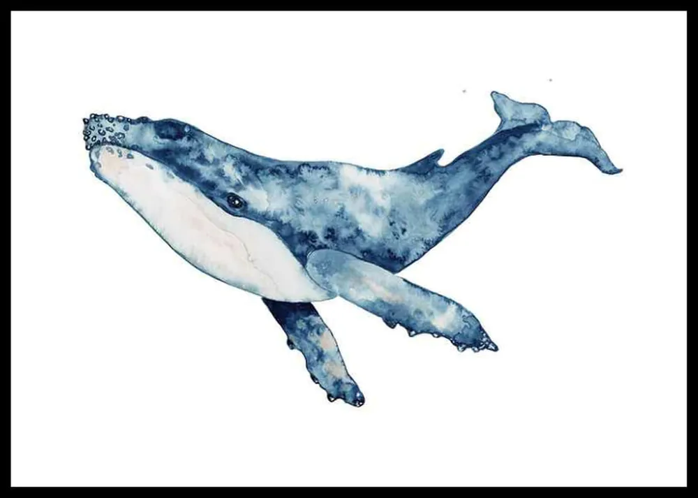 Big Whale Poster Kostenloser Rückversand