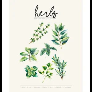 Kostenfreie Lieferung Herbs Poster