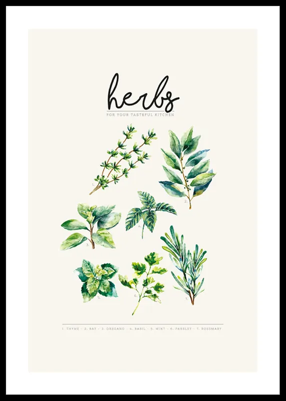 Kostenfreie Lieferung Herbs Poster