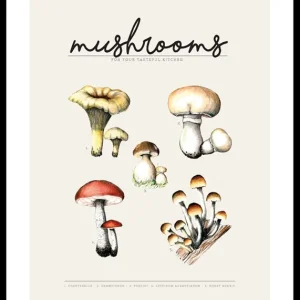 Finale Aktion Mushrooms Poster