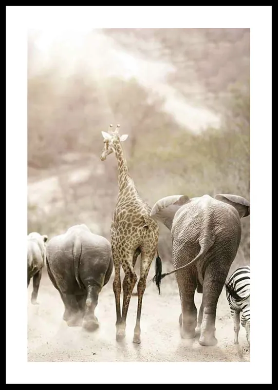 Direkt Vom Hersteller Wild African Animals Poster