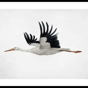 Watercolor Stork Poster Versand Am Gleichen Tag