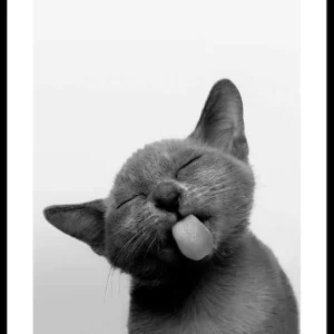 Mega-Angebot Licking Kitten Poster