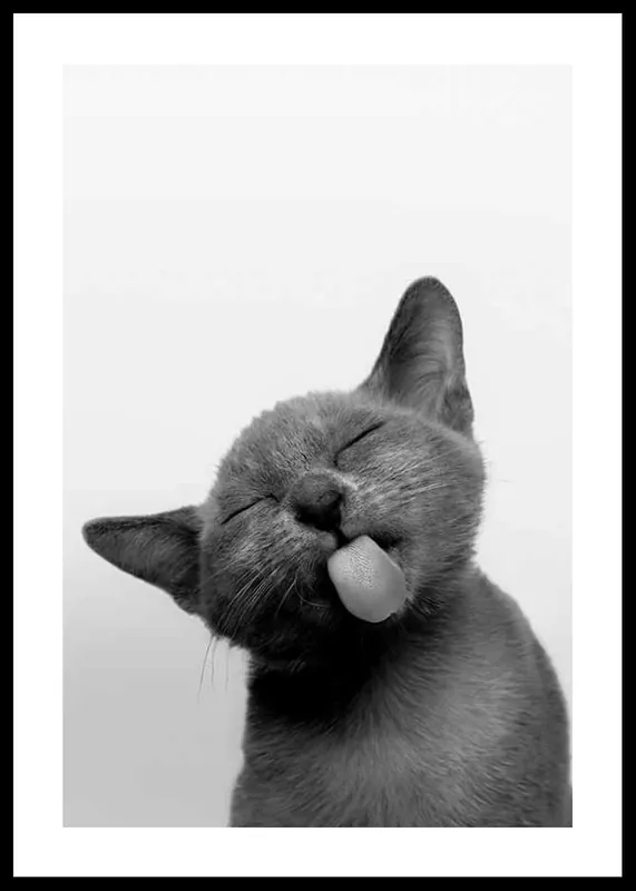 Mega-Angebot Licking Kitten Poster
