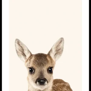 Bestpreis Baby Deer Poster