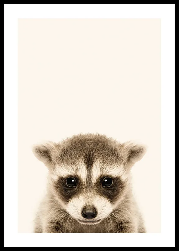 Baby Raccoon Poster Aktuell